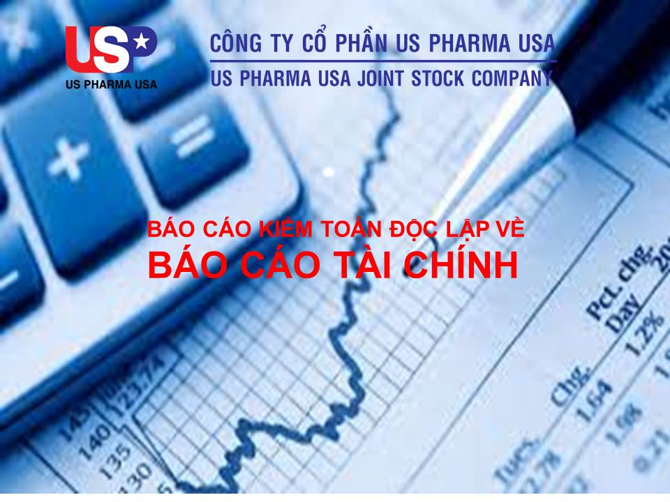 Báo Cáo Tài Chính Năm 2019
